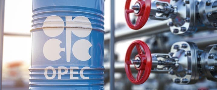 Сократит ли ОПЕК добычу нефти в День труда?